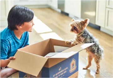 A young boy looking at a small terrier mix dog leaning over an open cardboard delivery box.