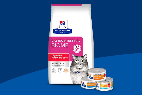 Veterinarian talking to a client about a bagged product