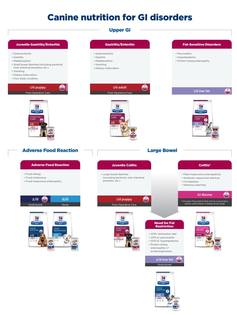 Hill’s Pet Nutrition Dog Food Range for Gastrointestinal Conditions