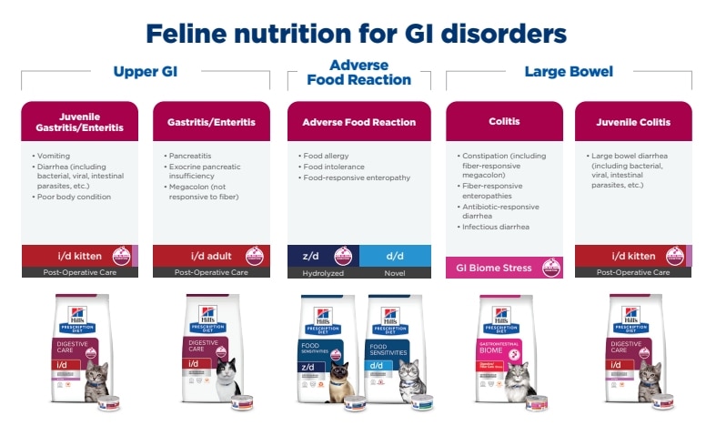 Find the right food for cats with GI upsets