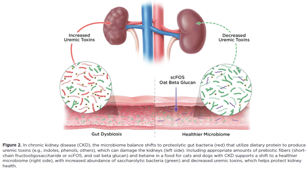 Gut chart