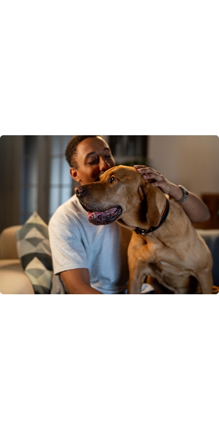 A man petting on the head a big brown dog with the tongue out.