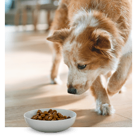 vna course thumbnail