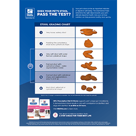 stool grading chart thumbnail