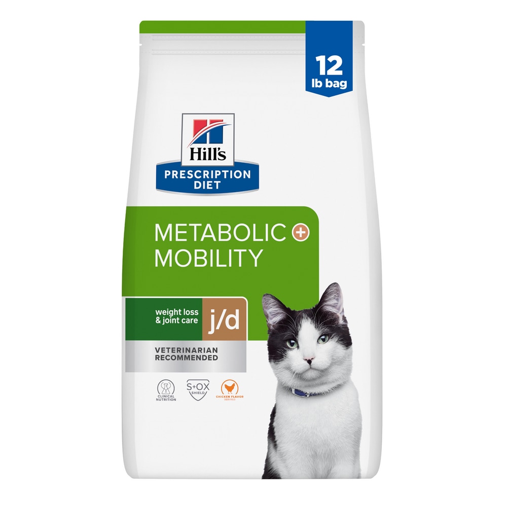 happy white dog being held by a human