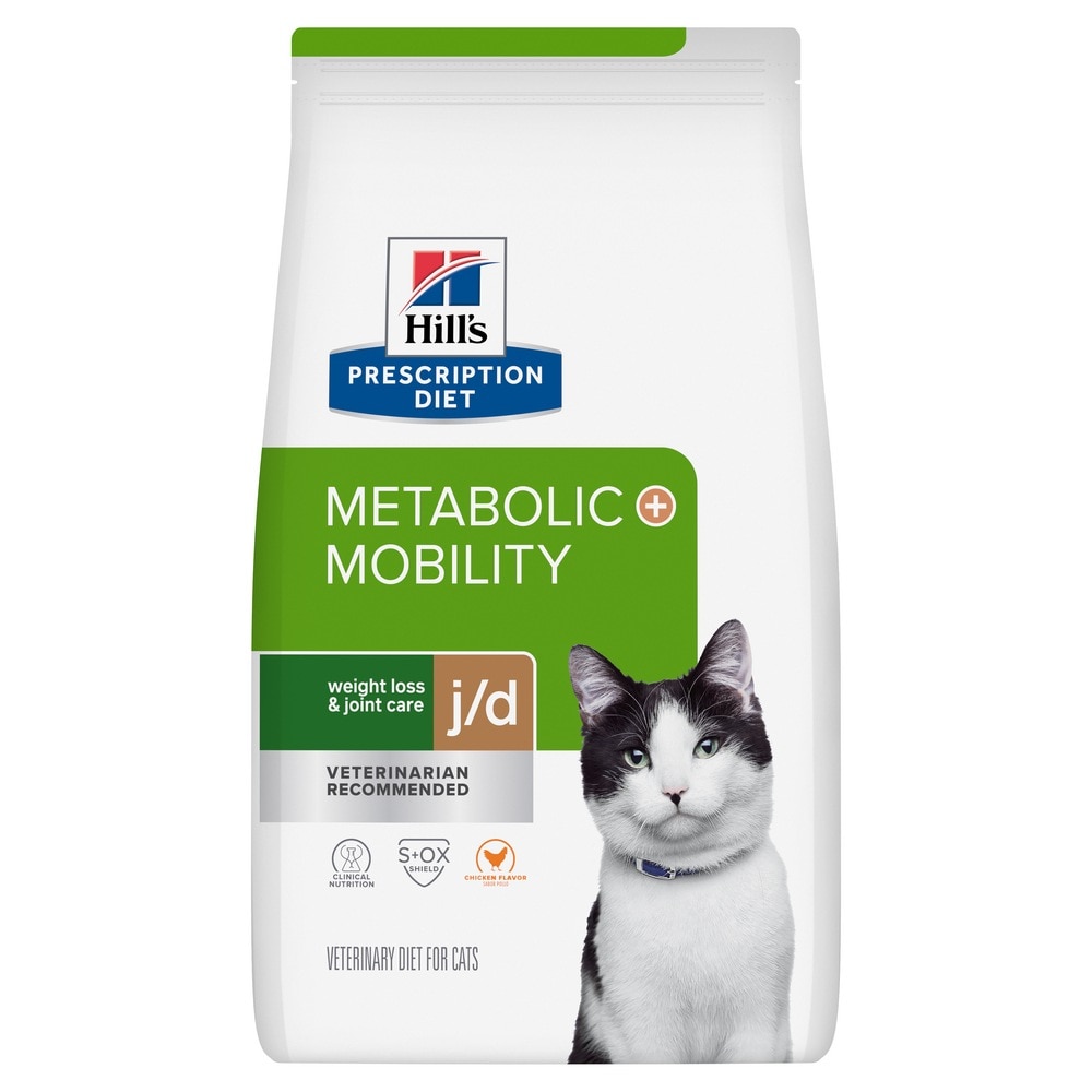 happy white dog being held by a human