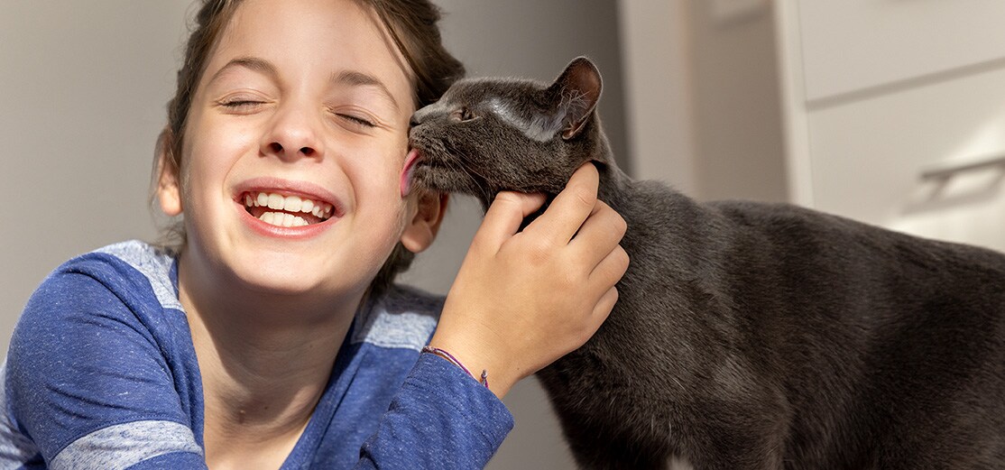 Black cat licking smiling girl on face