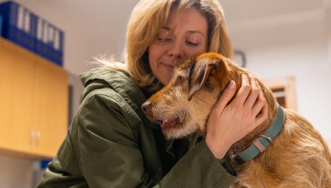 Small dog next to pet parent with book
