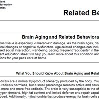 Brain Aging and Related Behavioral Changes