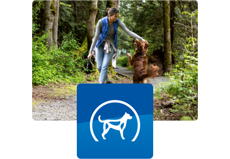 Pet parent walking with dog through woods