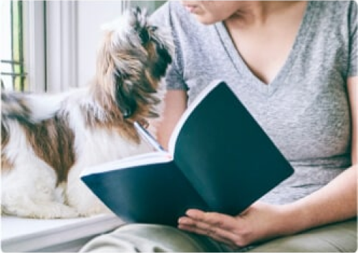 Small dog next to pet parent with book