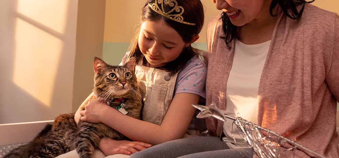 Cat gets cuddled by a girl wearing a tiara and her mom