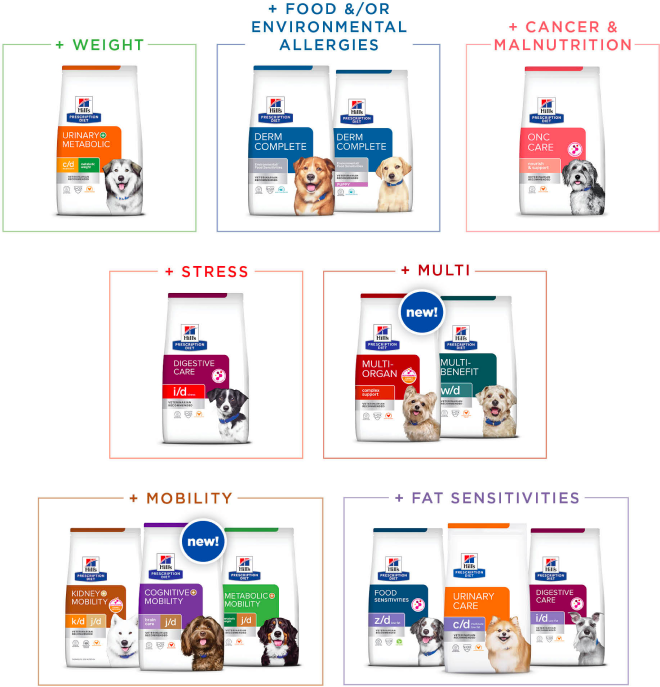 Hill's PD dog food portfolio for concurrent canine conditions