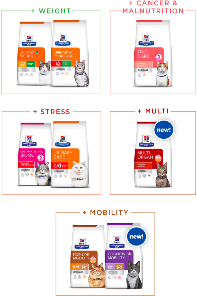 Hill's PD cat food portfolio for concurrent feline conditions