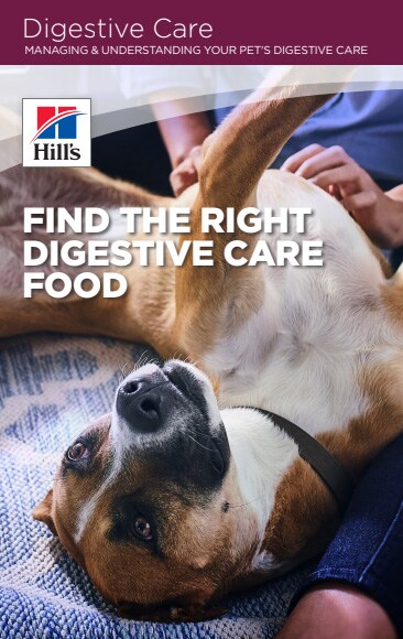 digestive care image