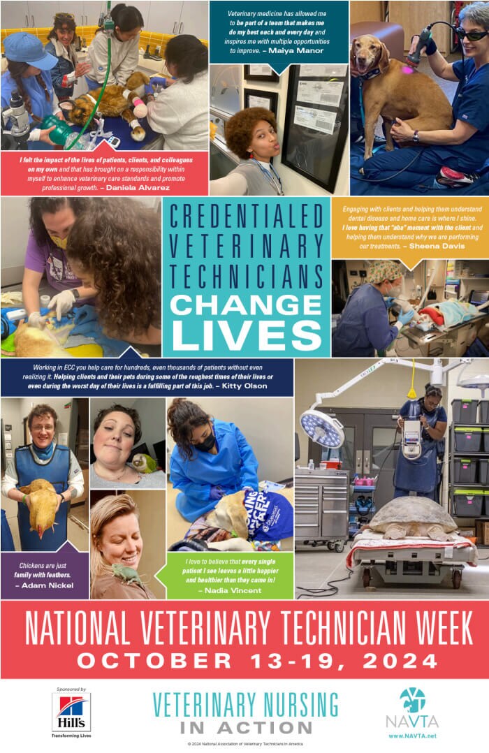 Credentialed veterinary technicians change lives